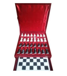 Chess Storage Cases