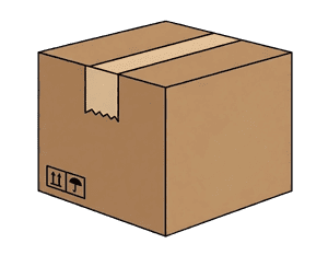Secure Packaging Icon